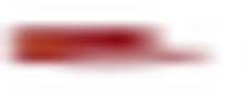 TimoCom-Referenz-RhenusLogistics