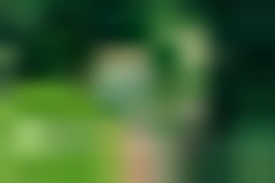 2023-07-echtzeit-transparenz-nachhaltigkeit-900x600px-web (1)