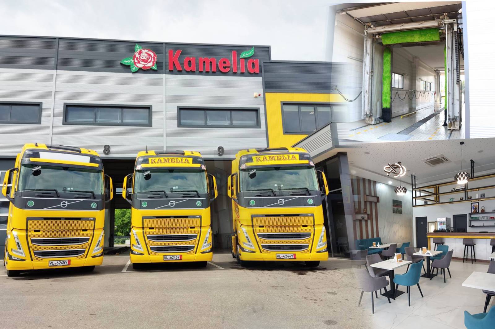 kamelia_1
