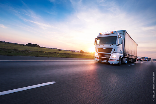 Success Story Angelika Lehmann Transporte / Dispotransport Success Story Angelika Lehmann Transporte / Dispotransport