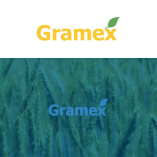 SuccessStores_Statements - Preview Tile - SEE - Gramex HR - Page 1 SuccessStores_Statements - Preview Tile - SEE - Gramex HR - Page 1