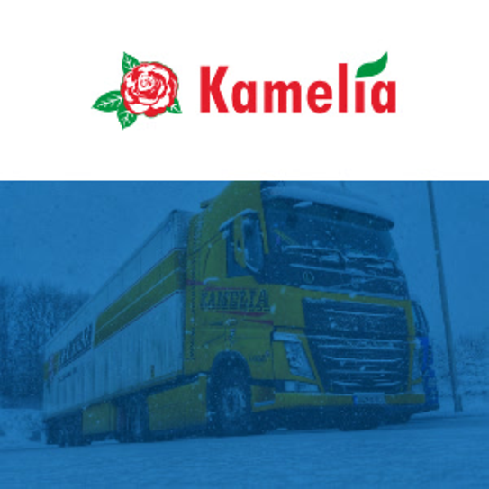 SuccessStores_Statements - Preview Tile - SEE - Kamelia BiH - Page 1 SuccessStores_Statements - Preview Tile - SEE - Kamelia BiH - Page 1