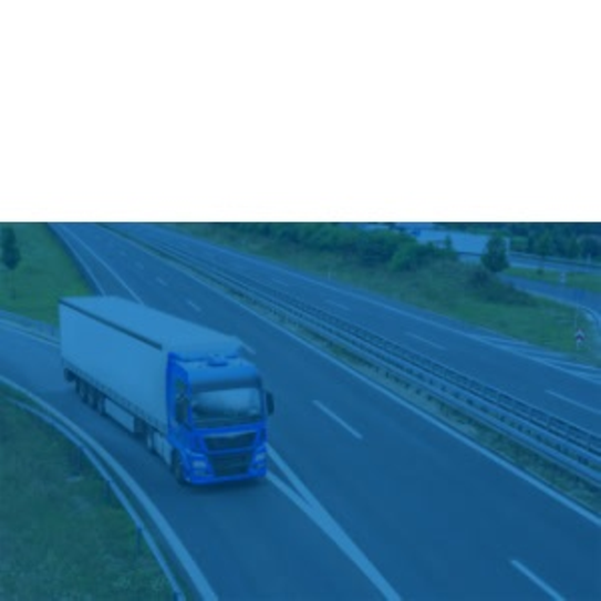 SuccessStores_Coremedia_Preview-Tile - FRUIT TRANS (BA) SuccessStores_Coremedia_Preview-Tile - FRUIT TRANS (BA)