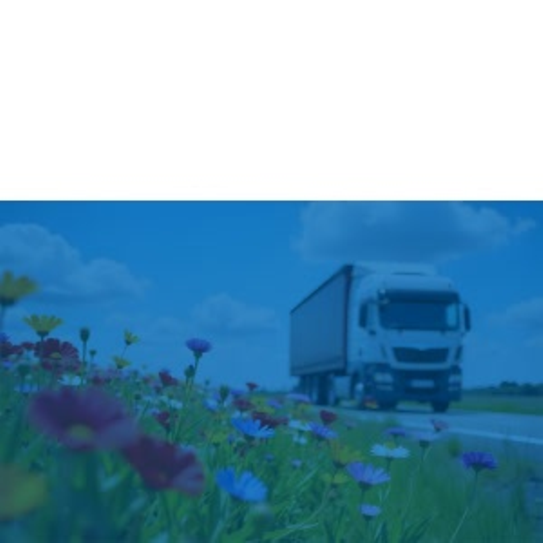 SuccessStores_Coremedia_Preview-Tile - M&MK Logistic Cargo Line SuccessStores_Coremedia_Preview-Tile - M&MK Logistic Cargo Line